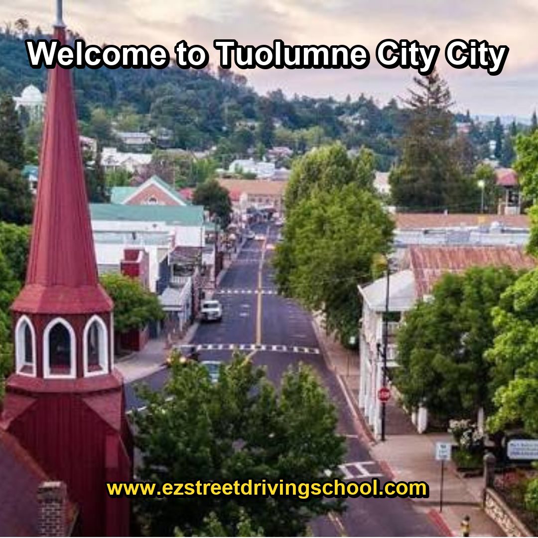 Driving Lessons in Tuolumne City